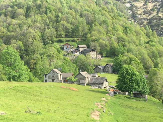 211380490 3617912031767793 8964404783308160942 n