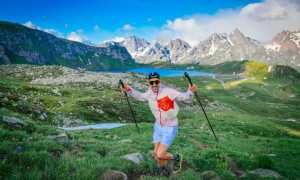 d4725a1c d04d 4295 bd97 631d76361c5d