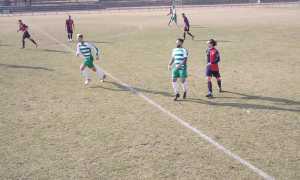 fomarco nuovo consiglio