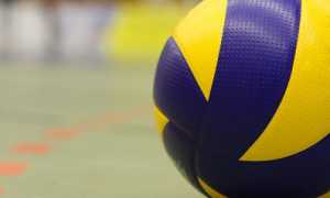 palla volley