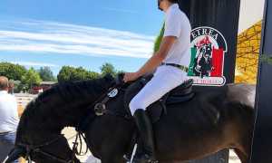 piovani cavvlo partenza testabassa