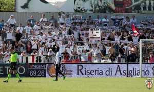 pro vercelli curva
