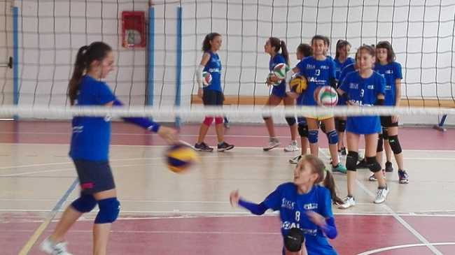 rosaltiora 28gennaio