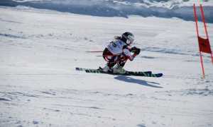 sci generica discesa