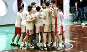 squali gruppo felici intero