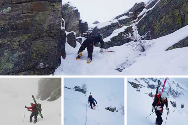 tour monscera 18 mix