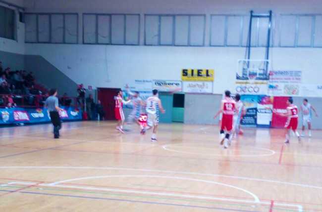 vinavil cipir collegno