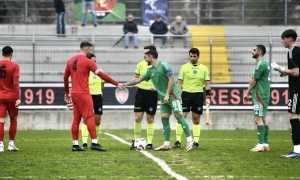 vogherese novaromentin