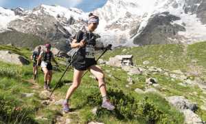 233275497 434659600983951 2529427161715698419 n