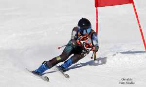 Andrea Schranz 800x533