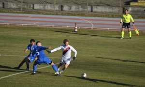 accademia borg briga