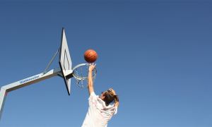 canestro domo basket