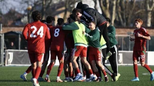 chisola novaromentin