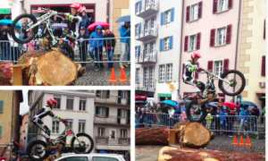 cotone trial briga