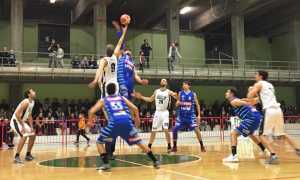 crocetta vinavil cipir nov 17