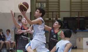 domo basket under14
