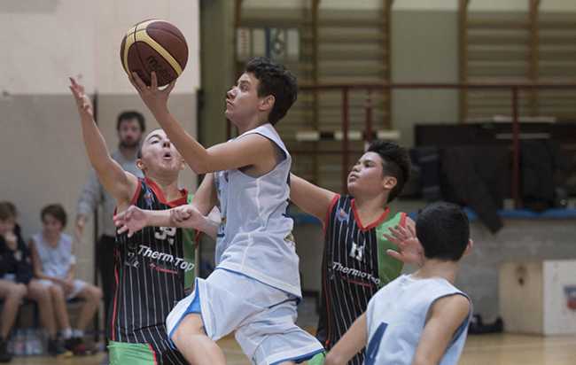 domo basket under14