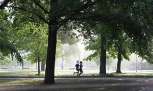 jogging gea0d99e87 640