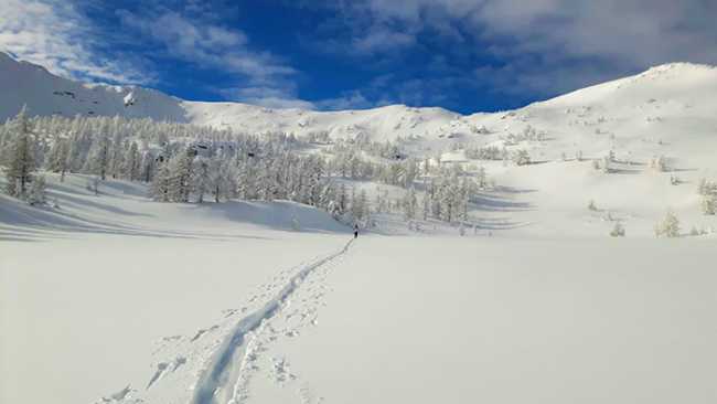 neve ciaspola bella montagna cielo monscera