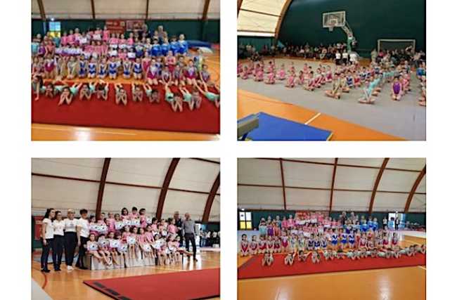 oleggio ginn twirl crystal