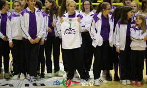 omegnapallavolo basket