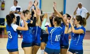 rosaltiora 19novembre