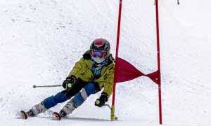 sci slalom gigante paletto sciatore 1