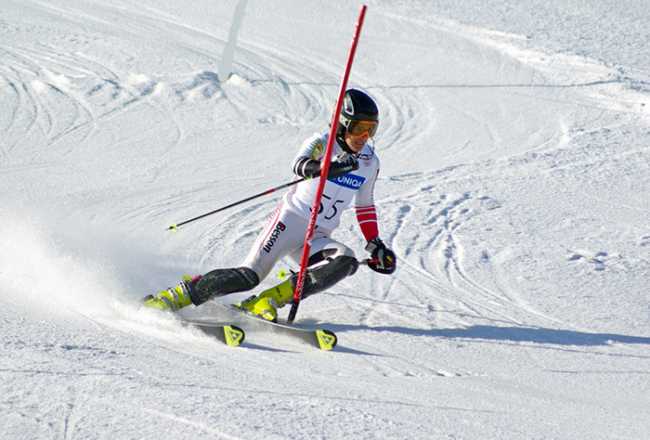 sci slalom paletto speciale