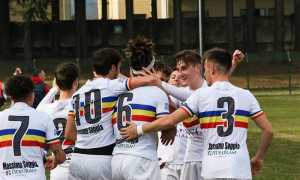 verbania quasiseried