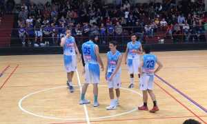 vinavil cipir amichevole