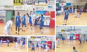 vinavil cipir bra mix