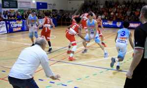 vinavil cipir gara mamy difesa