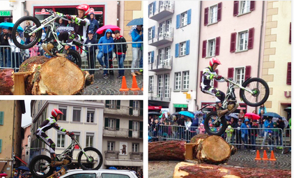 cotone trial briga