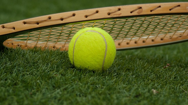 tennis ball 1162631 640
